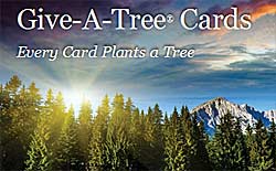 Give-A-Tree Greeting Cards