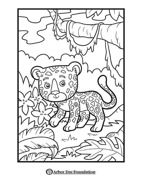 Download Coloring Pages at arborday.org