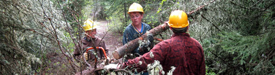 workers clearing trees in Bitterroot National Forest