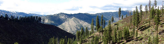 mountain view of Boise National Forest