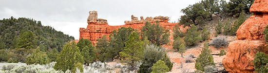 rock formation surrounded by trees in Dixie National Forest