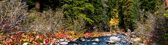 Deer Creek with autumn trees in Lassen National Forest