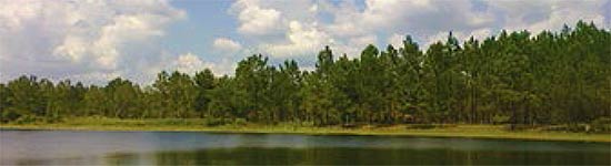 Seminole State Forest