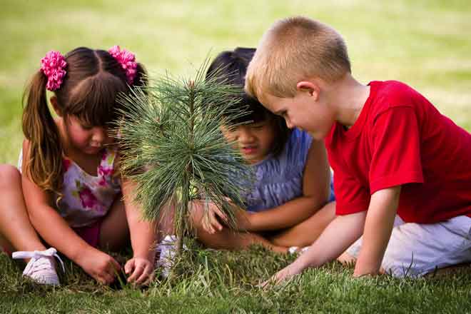 Children Planting a Tree