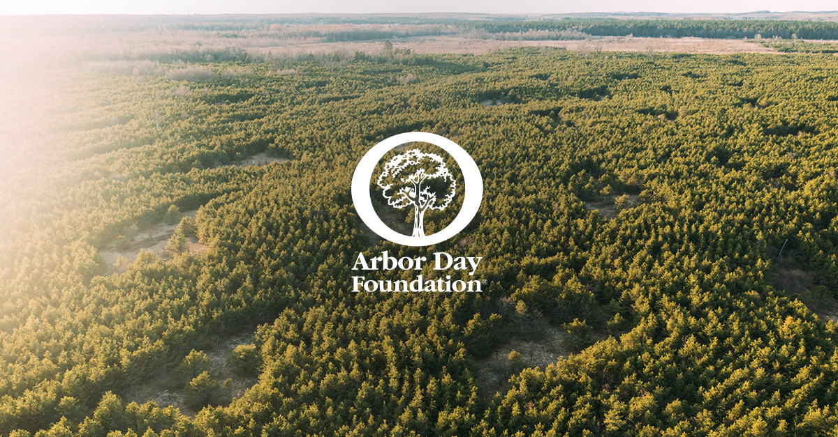Tree Planting Nonprofit | Arbor Day Foundation