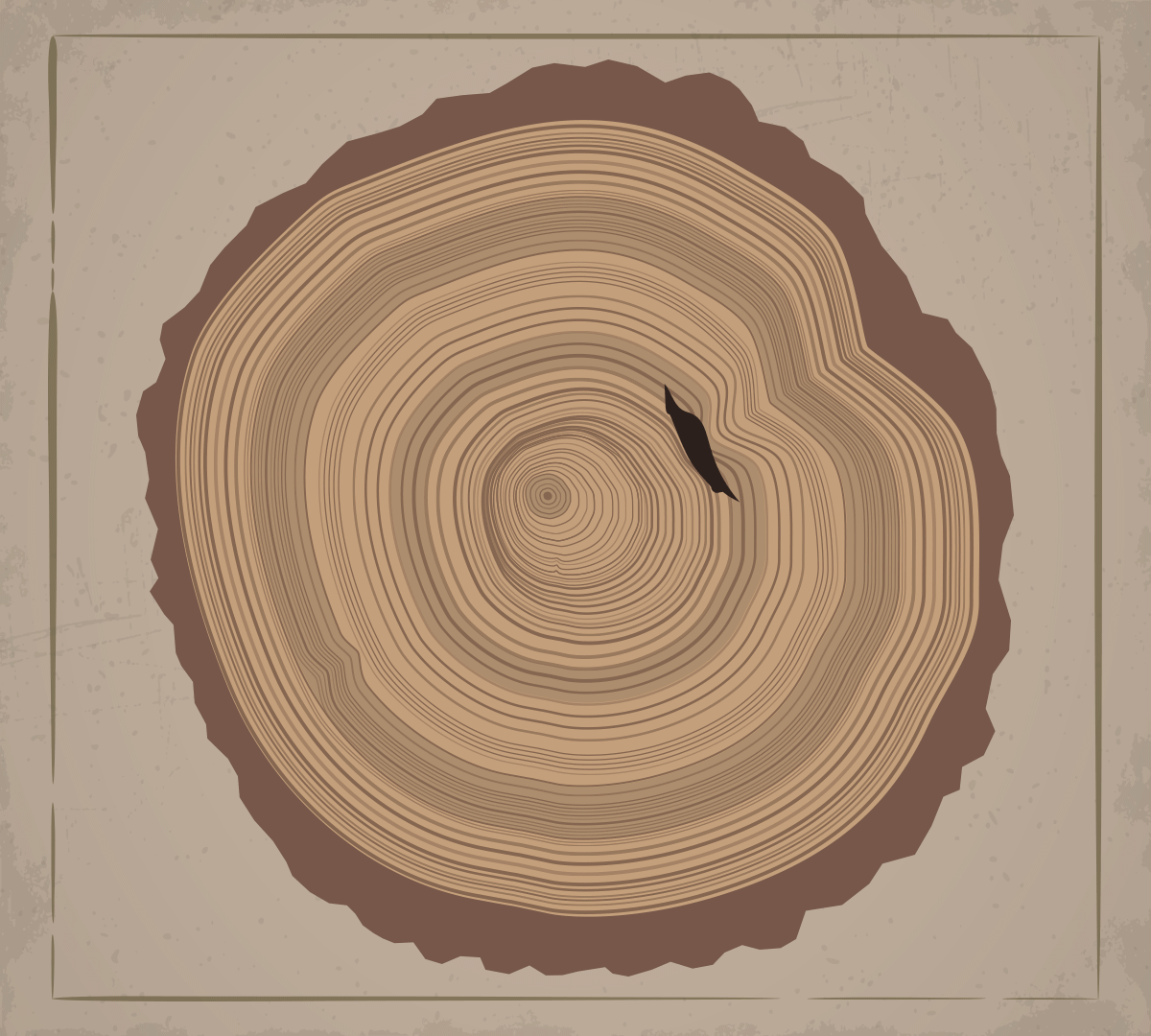 annual rings of wood illustration in minimal style 16415330 PNG