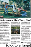 10 Reasons to Plant Trees ... Now!