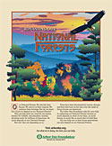 Replanting Our National Forests