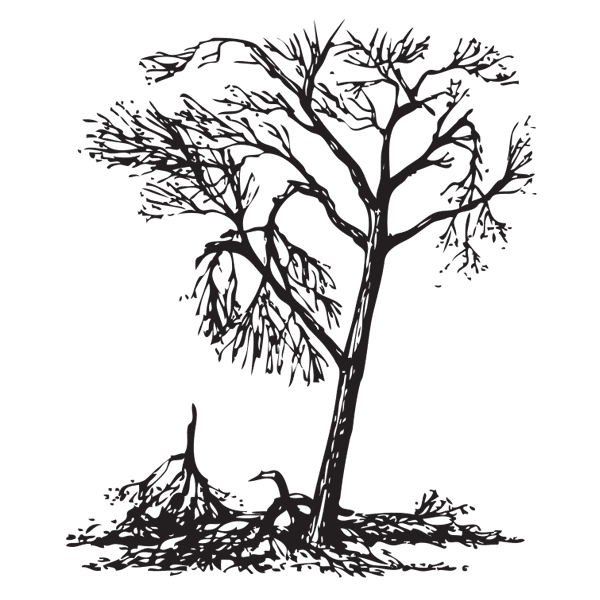 Illustration of a tree with damage