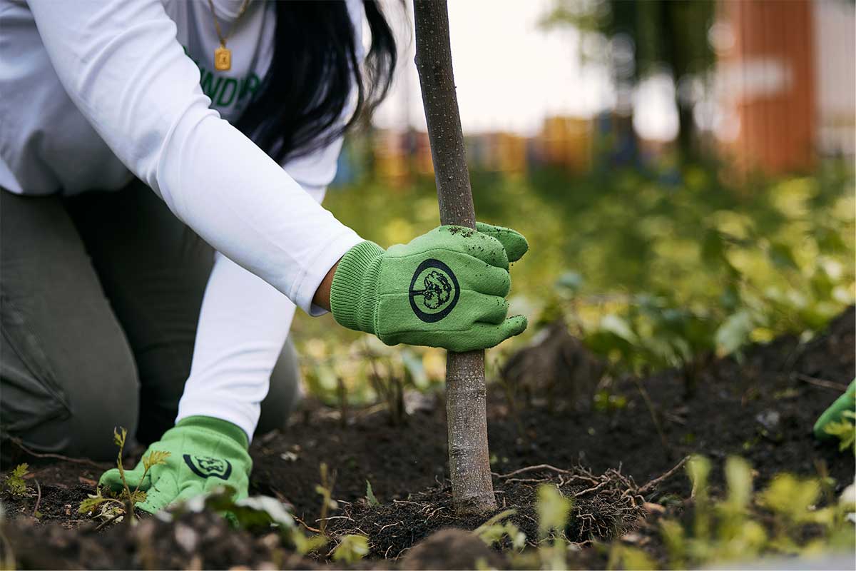 https://www.arborday.org/partnerships/evergreen-alliance/images/figure-bridgeport-connecticut-ad-planting-gloves.jpg