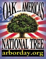 The Oak—America’s National Tree