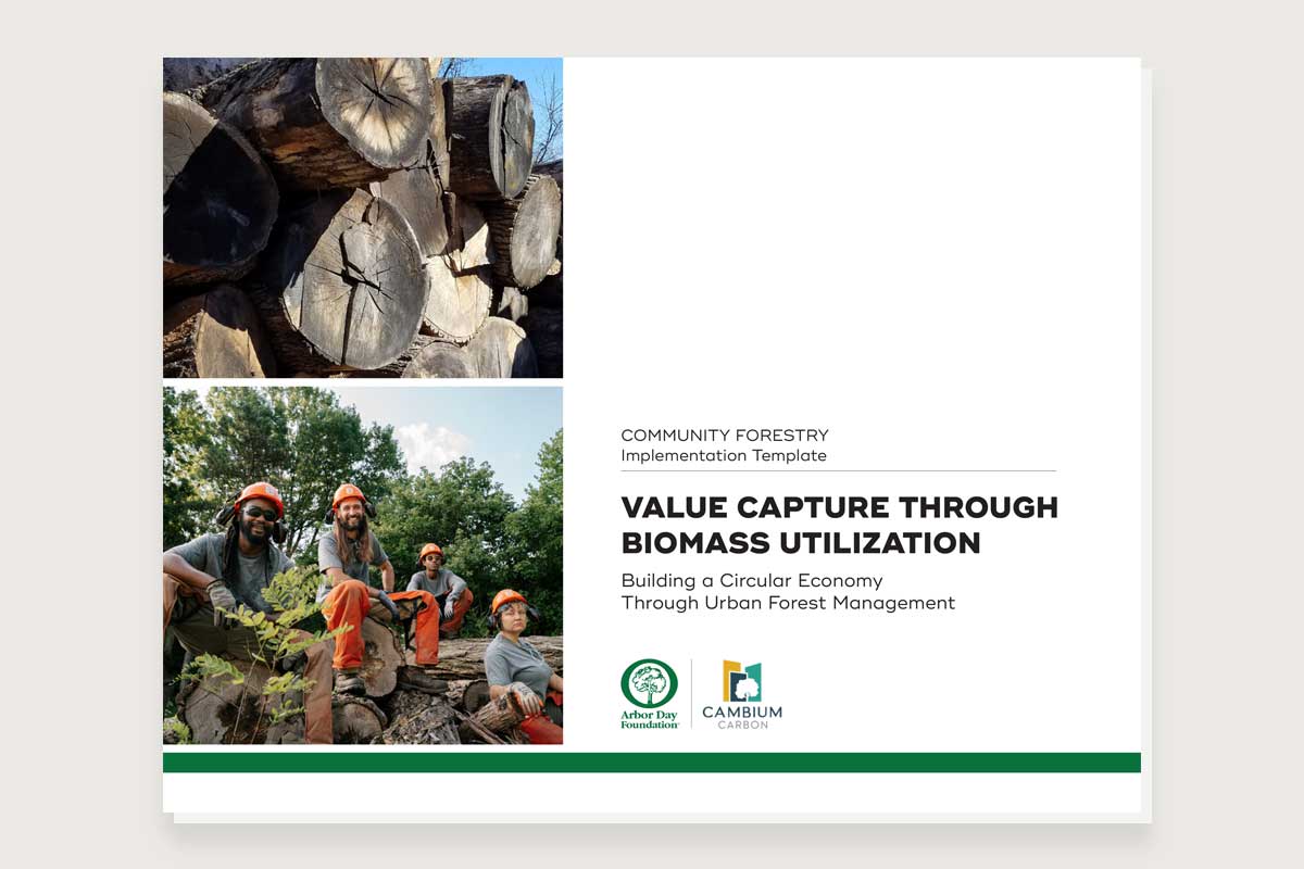 Value Capture Through Biomass Utilization Cover Image