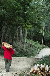 Picture of person carrying wood