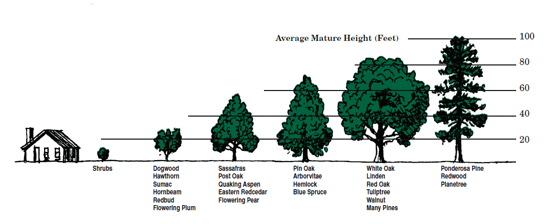 tree placement diagram for tree planting