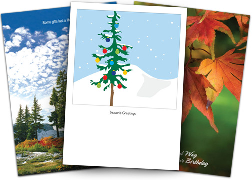 Give-A-Tree cards fanned out