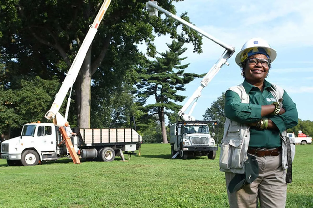 A man wearing a hard hat stands beside a tree, observing the surrounding area.