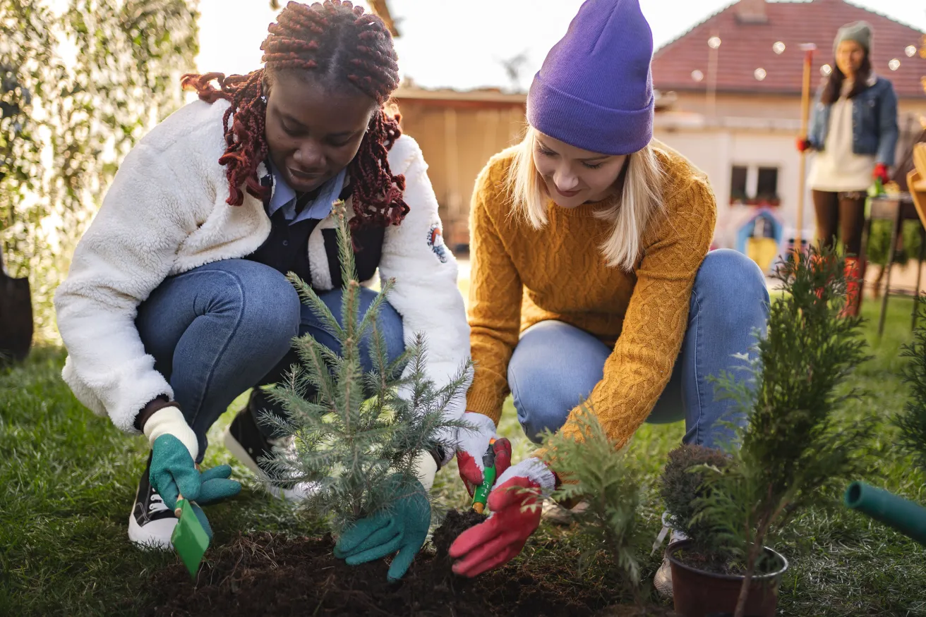 Two women planting young trees in a sunny yard, surrounded by soil and gardening tools.
