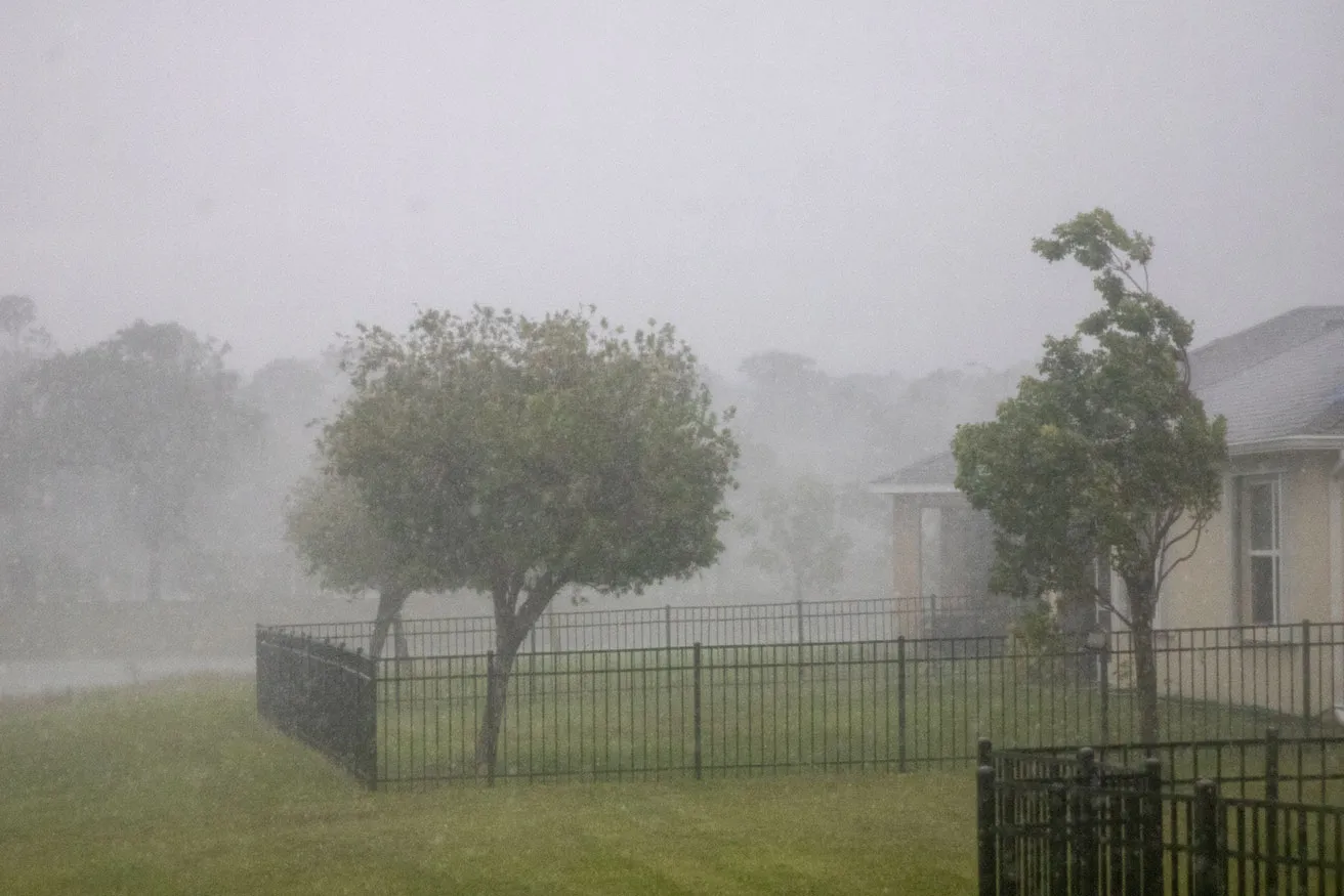 A house surrounded by trees and a fence, with rain falling gently in the foreground.