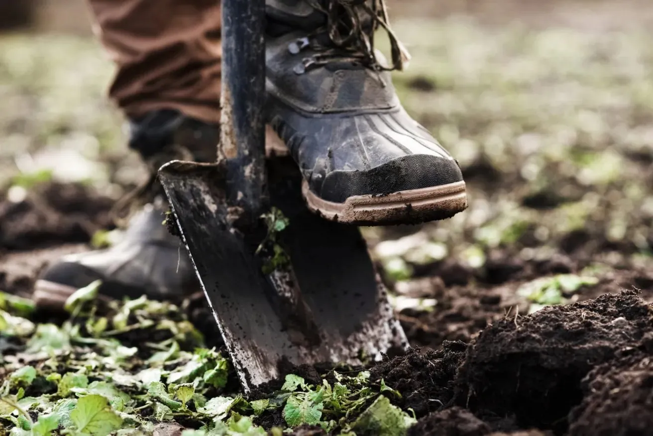 Tree Care Tips for Fall Planting | Arbor Day Foundation