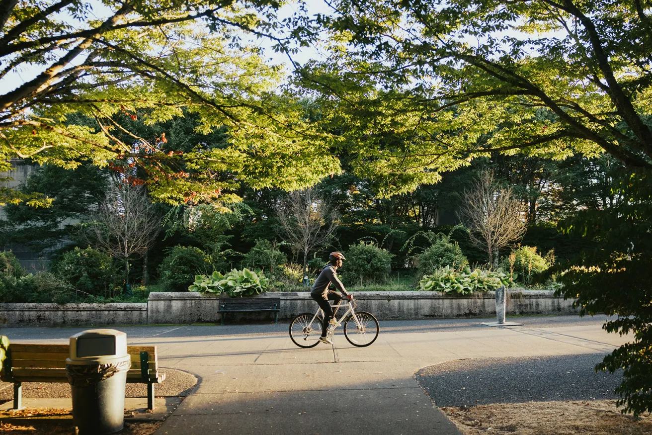 Person wearing a helmet rides a bicycle on a tree-lined path in a sunlit park with benches and greenery around.