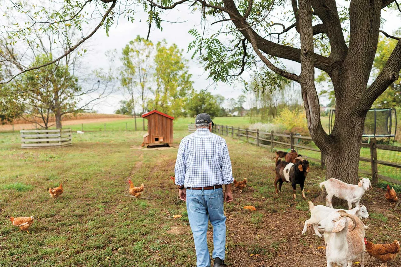Farmer walks through a peaceful farmyard with goats and chickens, beneath a large tree near a red coop, fenced fields, and grazing pasture.