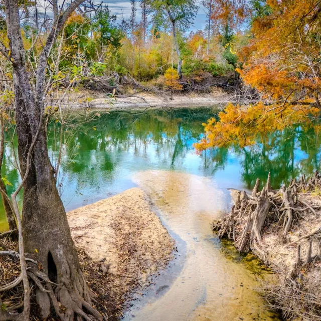 Colorful trees surrounding a pond with clear blue water.
