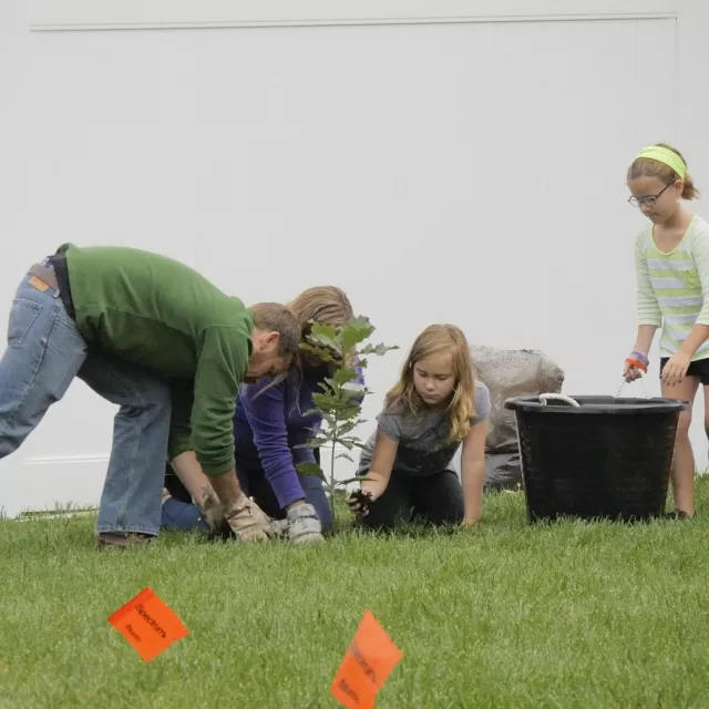 A family planting a tree in their backyard.