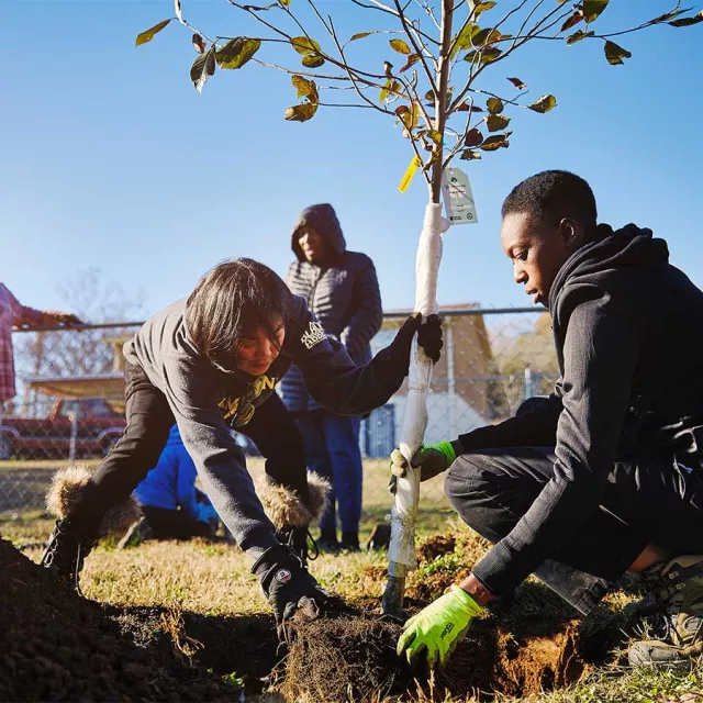 People planting a tree in a community.