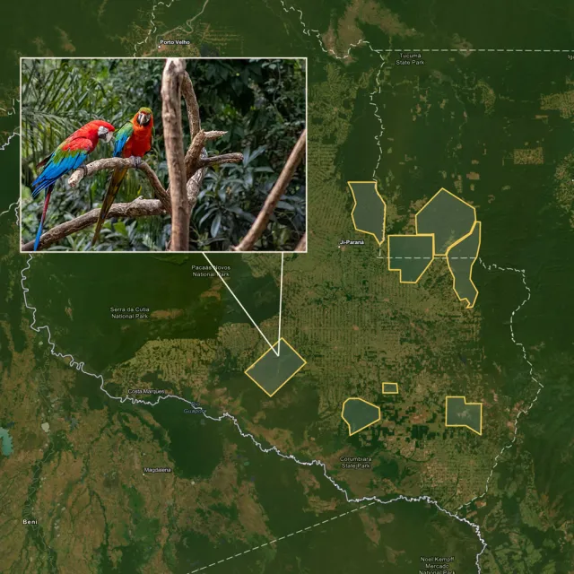 Map of Brazilian national parks with an inset image of a vibrant toucan perched on a branch, surrounded by lush greenery.