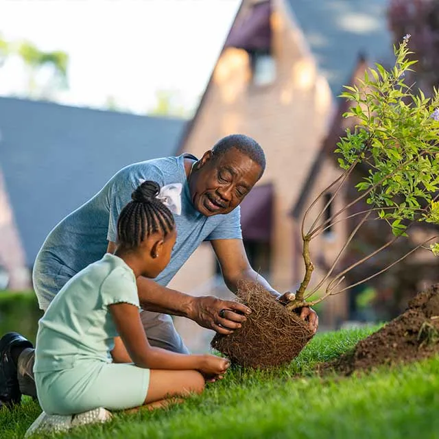 A man and a young girl plant a small tree together in a neighborhood front yard.