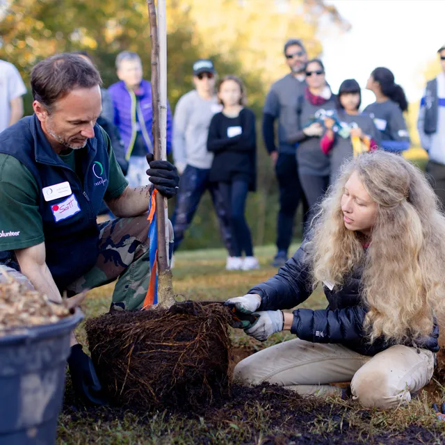 A man assists a girl in planting a young tree while a group of volunteers observes in a sunny outdoor setting.
