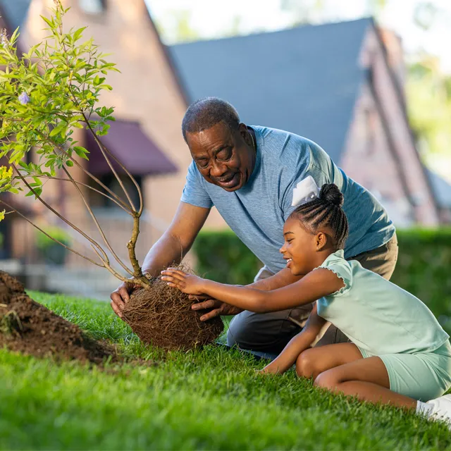 An adult and a child plant a young tree together in a sunny yard, surrounded by lush green grass and houses in the background.