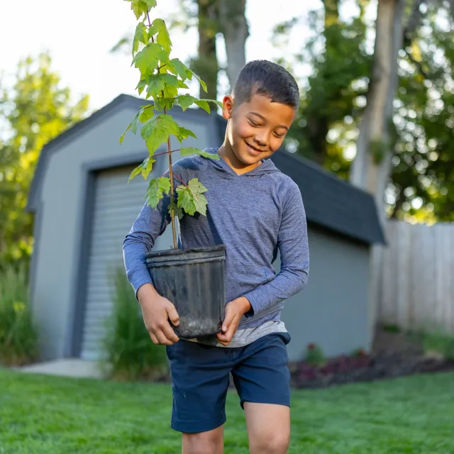 A young boy in a blue hoodie joyfully carries a potted plant in a backyard garden.
