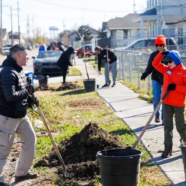 A diverse group of volunteers plants trees along a sidewalk on a sunny day, using shovels and pots in a community effort.