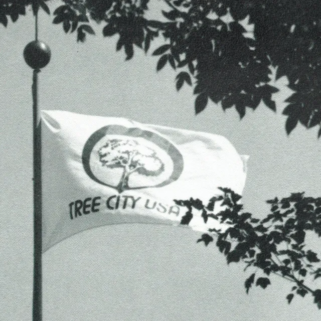 A white flag with a tree emblem and the text "TREE CITY USA," flying against a backdrop of leafy branches.