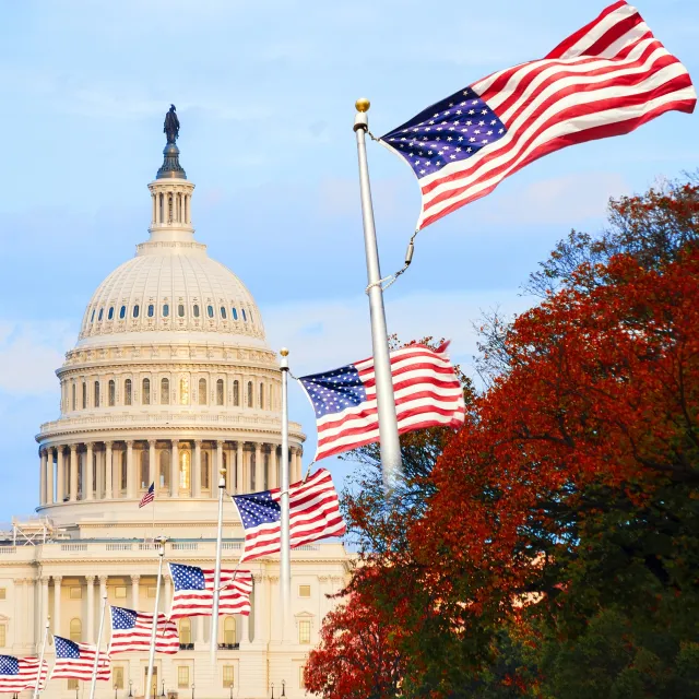 The U.S. Capitol dome is framed by waving American flags and vibrant autumn foliage under a serene blue sky.