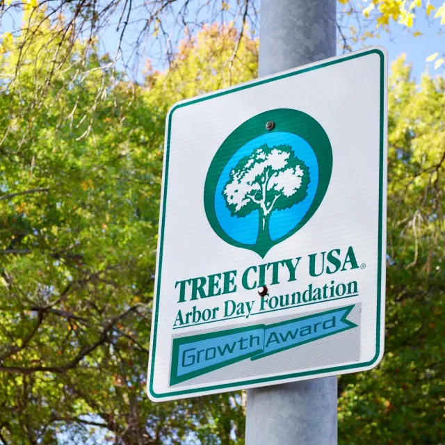 A sign for Tree City USA, awarded by the Arbor Day Foundation, highlighting the city's commitment to tree growth and care.