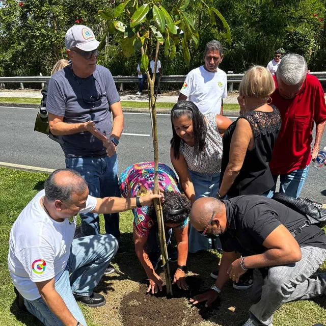 A group of people gathers around to plant a small tree, engaged in teamwork and environmental stewardship under a sunny sky.