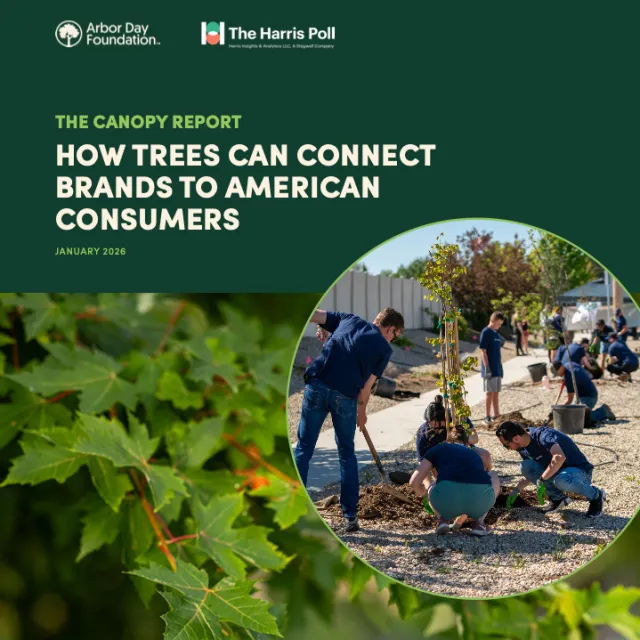 Front cover of the Canopy Report