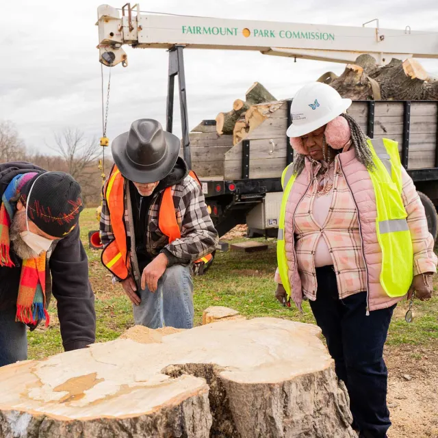A group of people gathered around a large tree trunk, engaged in conversation and enjoying the outdoors.