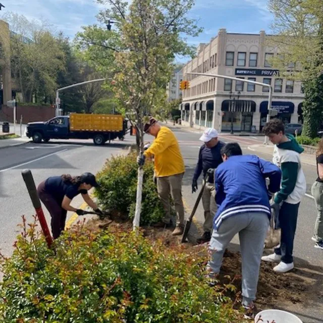 A group of volunteers plants flowers and shrubs in a landscaped area near a road, with a truck visible in the background.