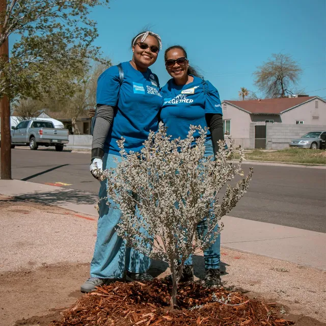 Two volunteers in blue shirts standing behind a newly planted tree on a sunny residential street.