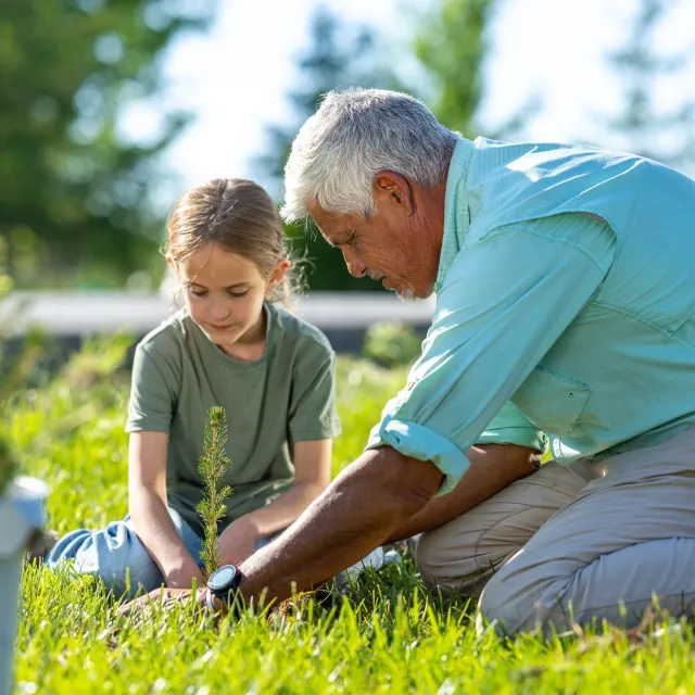 An older man and child planting a small tree together outdoors in a sunny green garden.
