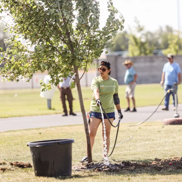 Person watering a young tree in a park, with volunteers and greenery in the background on a sunny day.