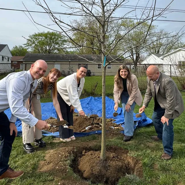 A group of people planting a young tree in a yard, working together to enhance their outdoor space.