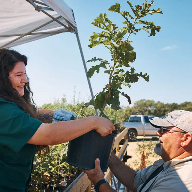 A person handing another person a tree in a pot