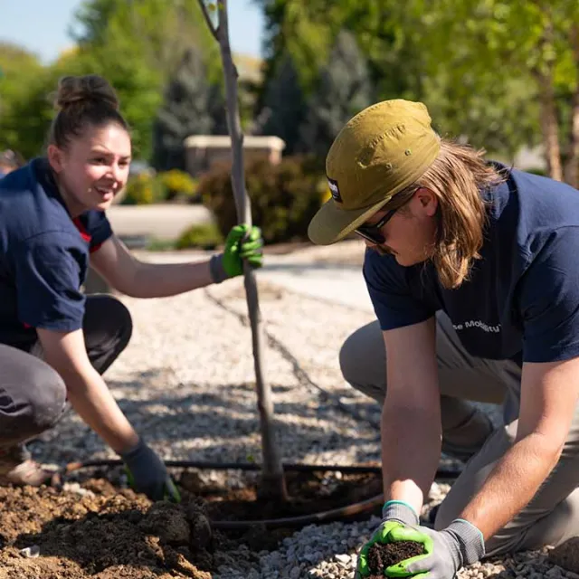 Two people planting a tree in a neighborhood outside