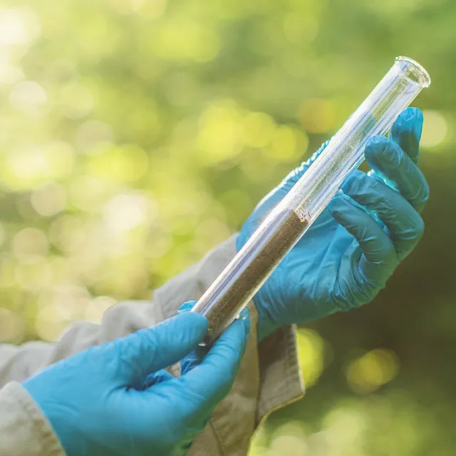 Hands wearing blue gloves holding a test tube with soil, against a blurred green natural background.