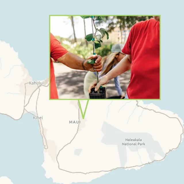 Two people holding a tree photo overlayed on a map