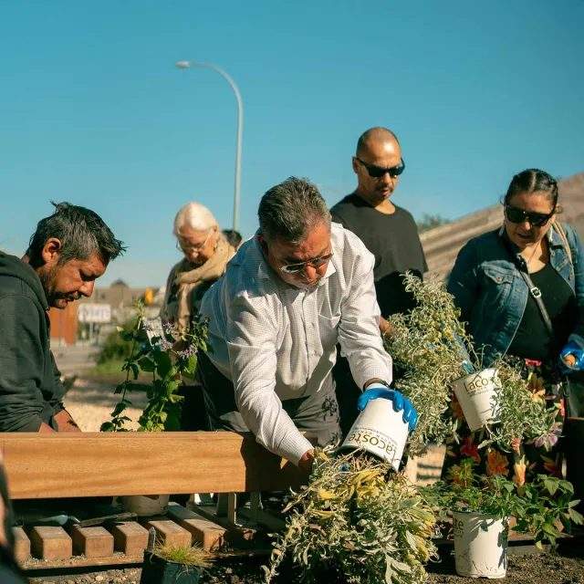 People planting colorful flowers in pots on a wooden bench in a sunny outdoor setting.